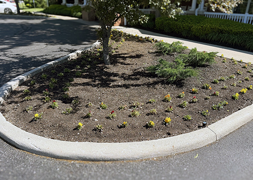 Landscaped exterior at Carriage Court featuring freshly planted foliage.